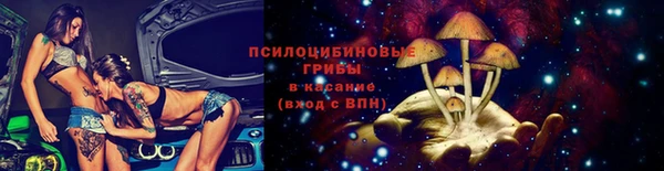 крисы Аркадак